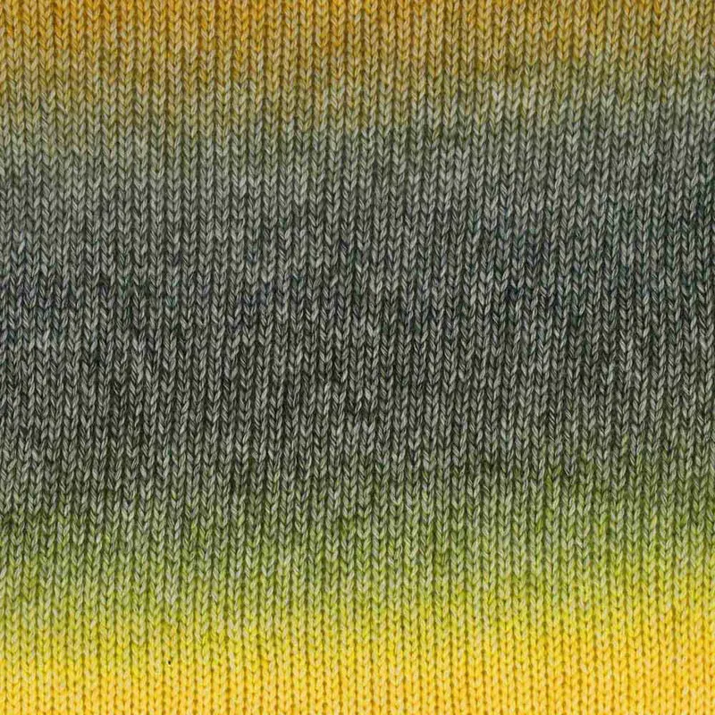 Scheepjes Stone Washed Flow 16 Haze