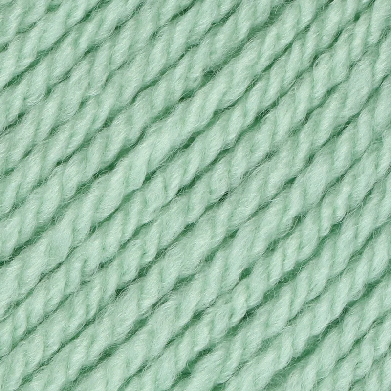 Stylecraft Special Aran mit Wolle 5509 Spearmint