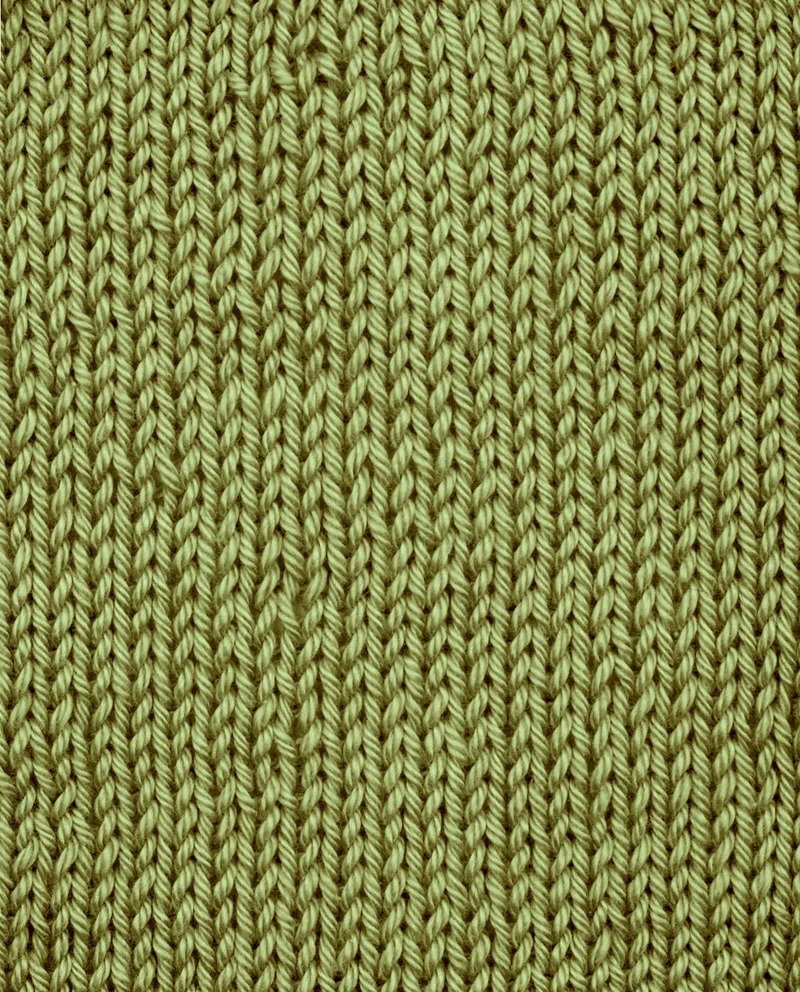 Phildar Phil Coton 3 2099 Blatt
