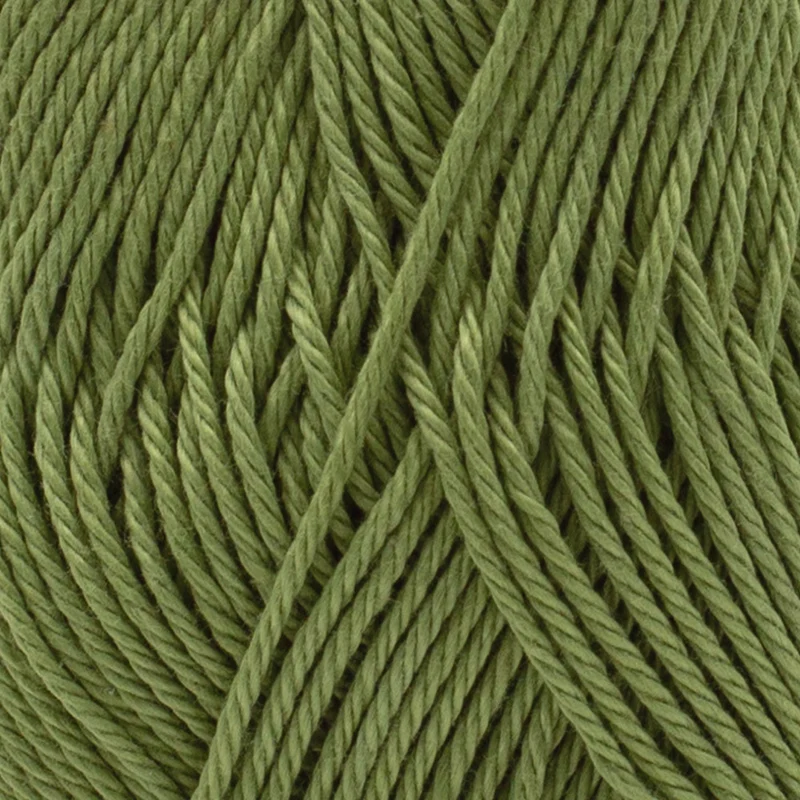 Phildar Phil Coton 3 2099 Blatt