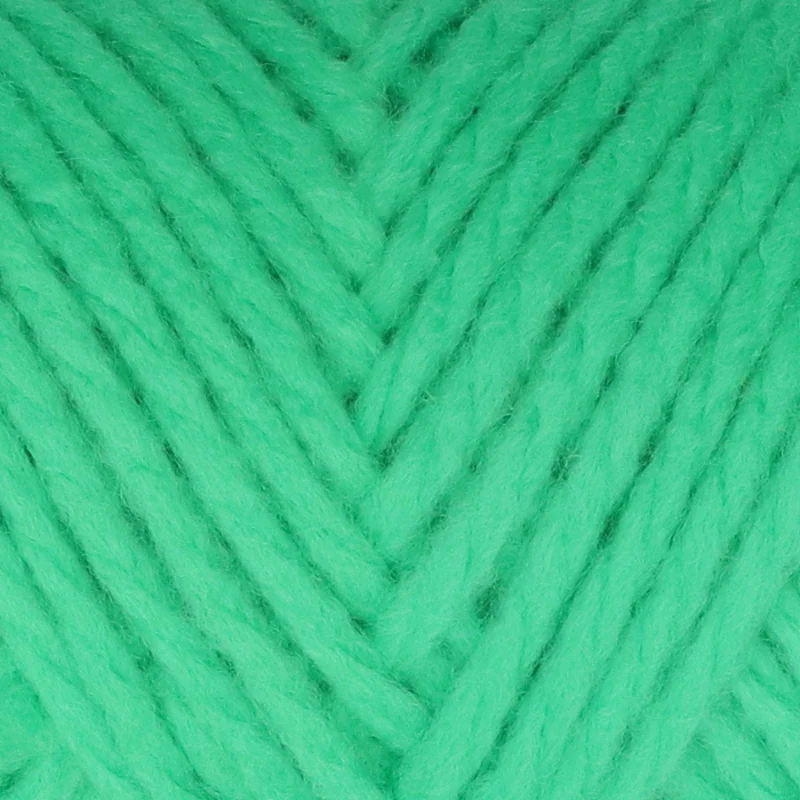 BudgetYarn Chunky Acrylic 086 Peony Leaf