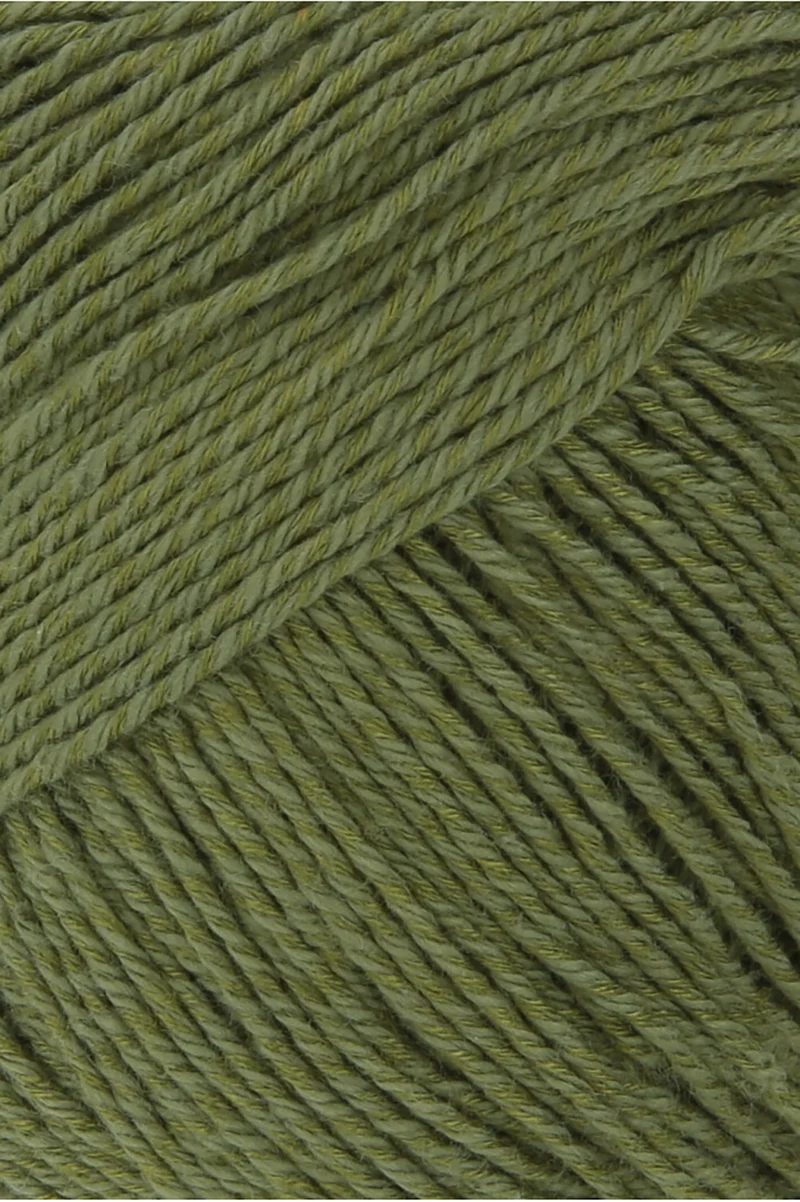 Lang Yarns Wooladdicts Sweet 0117 Artischocke
