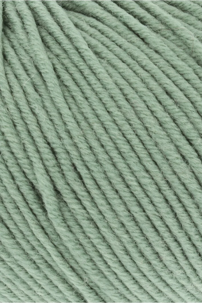 Lang Yarns Merino 120 0091 Salie