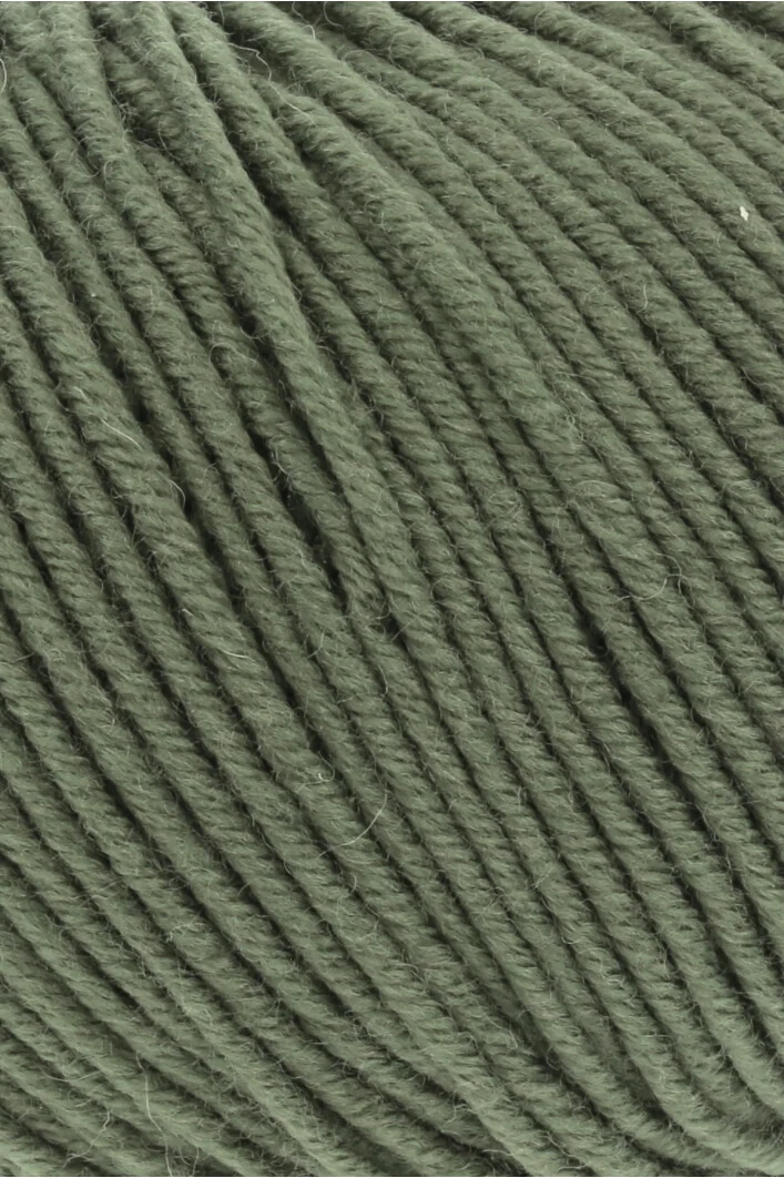 Lang Yarns Merino 120 0397 Krokodilgrün