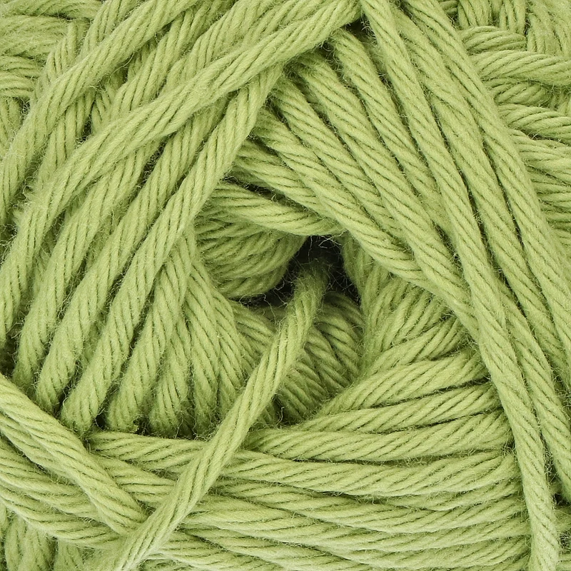 Yarn and Colors Epic 123 Fern