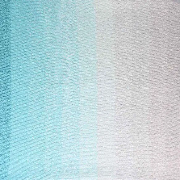 Scheepjes Cotton Whirl 706 Blueberry Frost