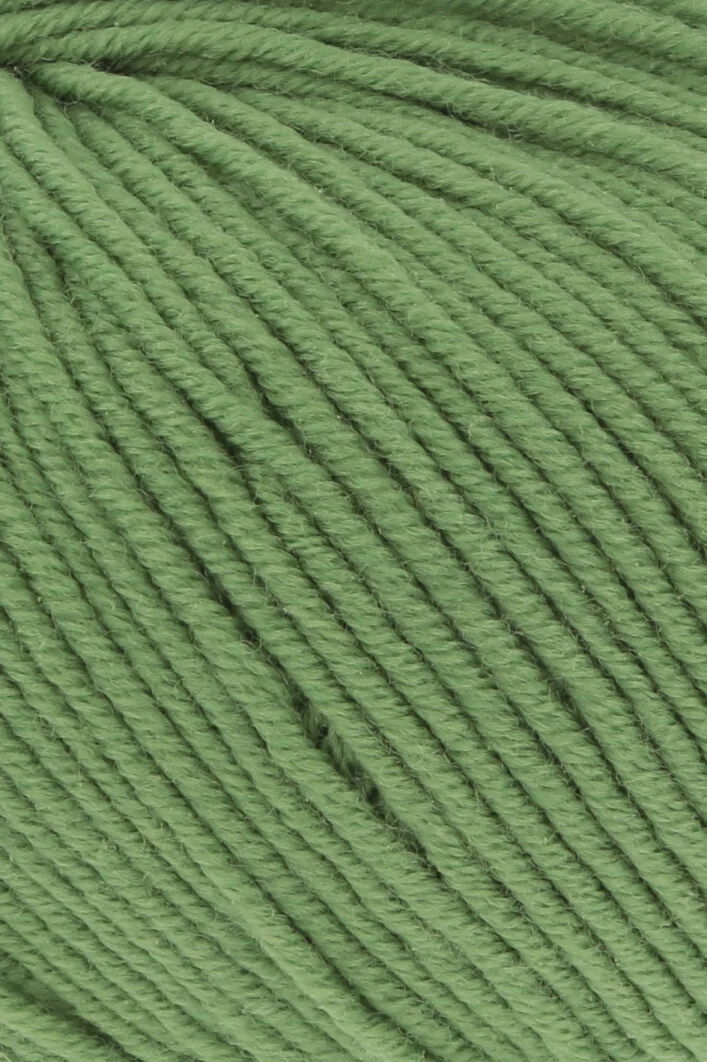 Lang Yarns Merino 120 0418 Farn