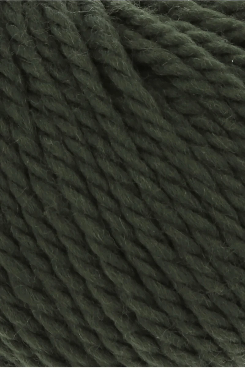 Lang Yarns Glory 0218 Den
