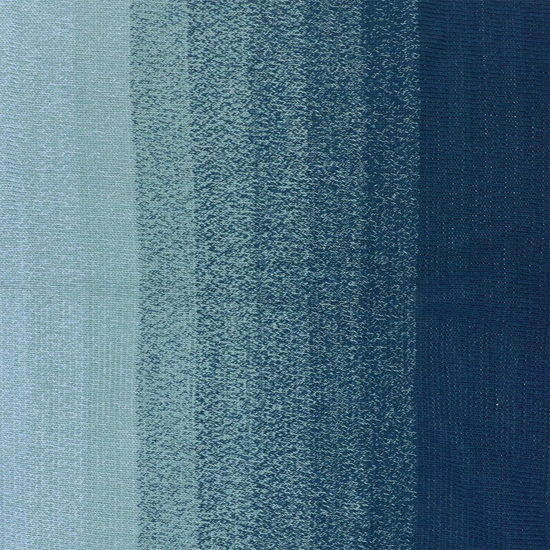 Scheepjes Cotton Whirl 731 Blueberry Swirl